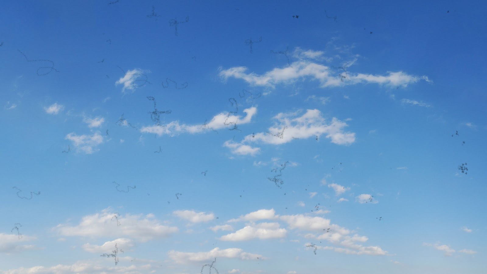 Floaters overlaid over a photo of the sky and clouds.